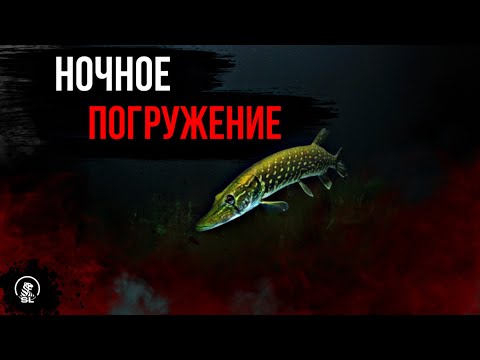 Видео: НОЧНОЕ ПОГРУЖЕНИЕ НА СИЛИКАТНОМ
КАРЬЕРЕ (НАВАШИНО ЛИПНЯ)