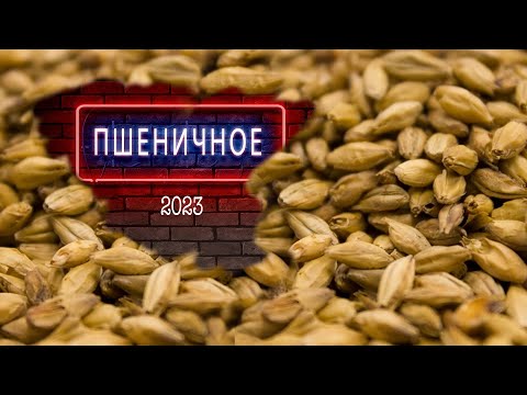 Видео: Пшеничное 2023