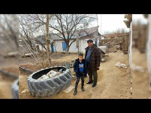 Видео: даугызтау