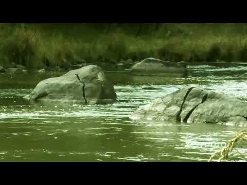 Видео: ,,БАВРА"-Ахалкалаки-+-Песня