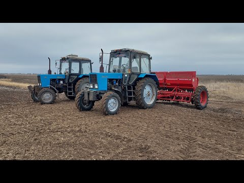 Видео: Посевная оз.пшеницы 2022 09.11.22. СНОВА ЗАСУХА
