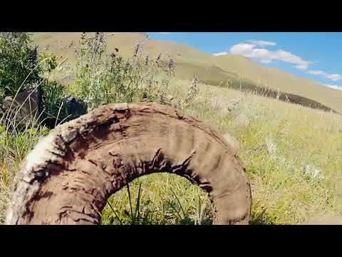 Видео: Баянхонгор ,Эрдэнэцогт сум