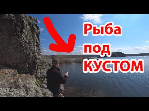 Видео: Нашел куст под которым много рыбы  спиннинг НЕ ультралайт приманка для окуня