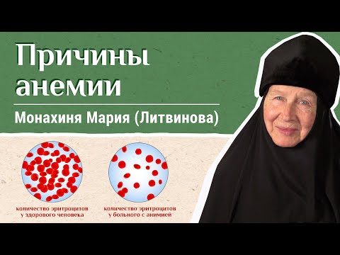 Видео: Почему снижается гемоглобин? М. Мария (Литвинова). «Давайте жить здорово!»