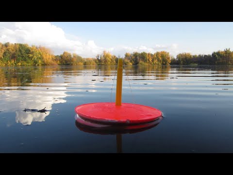 Видео: ВОТ ЭТО СНАСТЬ! ЩУКА АТАКУЕТ В ЗАРОСЛЯХ КУВШИНОК. РЫБАЧУ ОСЕНЬЮ НА РЕКЕ С СОБАКОЙ.