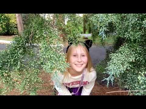 Видео: Прогулка по территории пансионата Гренада #каникулы #море #отдых #пансионат #гренада