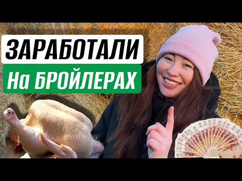 Видео: ВЫГОДНЫ ЛИ БРОЙЛЕРЫ? Итоги сезона 2024г