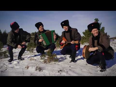 Видео: Донское сияние - в лесу родилась ёлочка