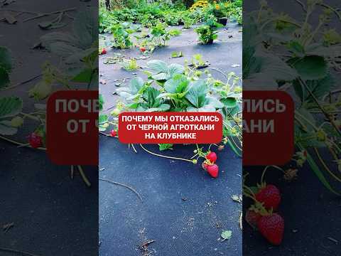 Видео: Я подробнее в описании ниже 👇🏼👇🏼👇🏼