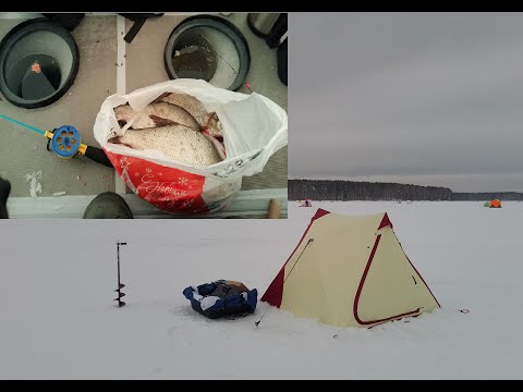 Видео: рыбалка 20.01.24 Белоярское водохранилище, 3-я заводь.