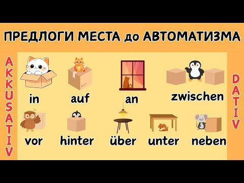 Видео: Тренажер | Предлоги места в немецком языке! А1 А2 🚀🇩🇪