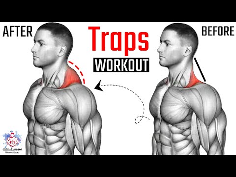 Видео: 9 ЛУЧШИХ УПРАЖНЕНИЙ ТРЕНИРОВКА трапеции 🔥