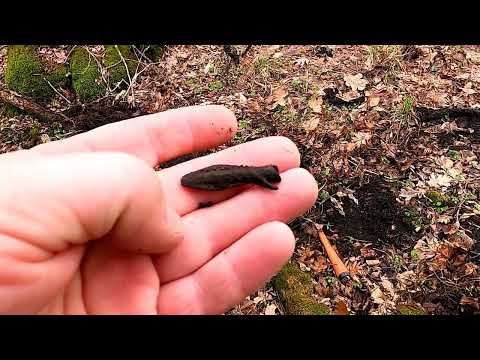 Видео: Металлоискатель GPX первые шаги Поиск золота