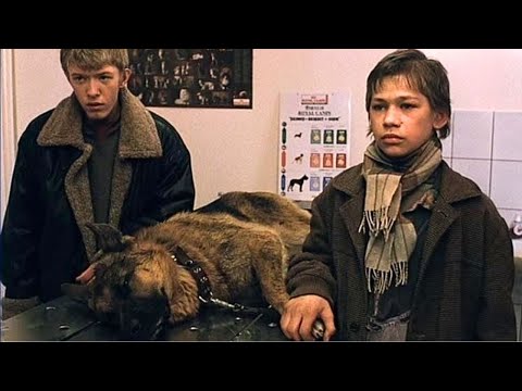 Видео: БЕЗУМНО ТРОГАТЕЛЬНЫЙ ФИЛЬМ ПРО БЕСПРИЗОРНИКА И ОВЧАРКУ ДЛЯ СЕМЕЙНОГО ПРОСМОТРА! СПАРТАК И КАЛАШНИКОВ