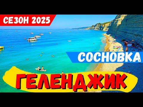 Видео: СОСНОВКА! ЛУЧШИЙ ДИКИЙ ПЛЯЖ ГЕЛЕНДЖИКА! МЕСТНЫЕ МАЛЬДИВЫ! ЧТО НУЖНО ЗНАТЬ в 2025 ГОДУ?