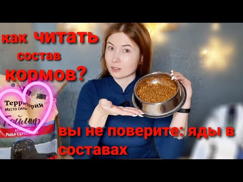 Видео: Как читать состав кормов? Обзор хорошего корма Территория