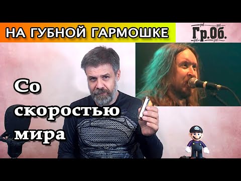 Видео: Со скоростью мира на губной гармошке (кавер Гражданская оборона)