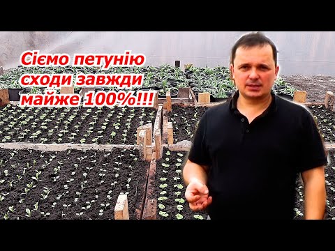 Видео: Посів петунії в касету- перевірений спосіб, поява сходів за ТРИ дні!