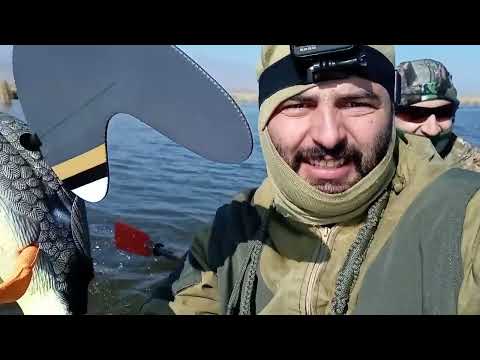 Видео: охота на утку в Армении / duck hunting in Armenia / badi vors 2022 #Հայորսորդ #охота #hunting #որս