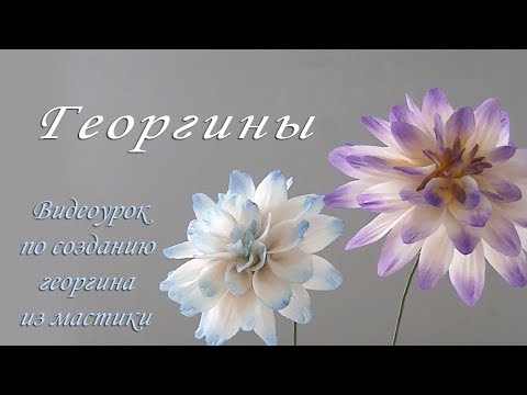 Видео: Георгин из мастики/Как сделать/Видео урок по созданию сахарного цветка