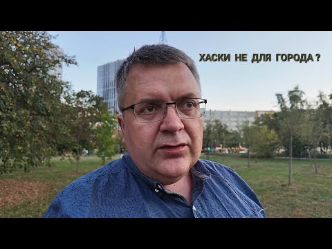 Видео: Стоит ли заводить ХАСКИ в городе?