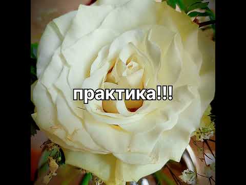 Видео: Как учить времена???