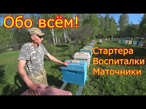 Видео: МАТКОВОДСТВО! Стартера, воспиталки, маточники! Ульи ППУ, шестирамочники!