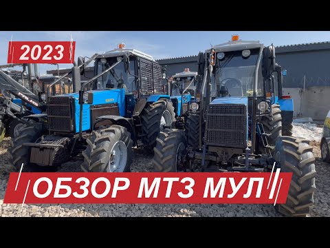 Видео: Обзор тракторов Беларус МУЛ 82.2 и Беларус МУЛ 1221.2 /  Отличия от обычных МТЗ