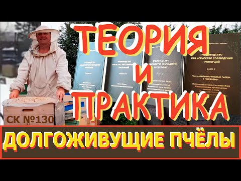 Видео: Схемы Работы с Пчелами - Перевод в Долгоживущие. Теория, Практика, Ошибки. "Пчеловодство, СК130"