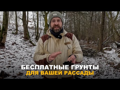 Видео: ГРУНТЫ ДЛЯ РАССАДЫ МОЖНО ЗАГОТОВИТЬ БЕСПЛАТНО. Способы заготовки качественного грунта для рассады.
