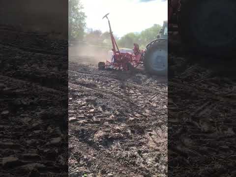 Видео: Гарбузи 🎃🎃🎃💪😁