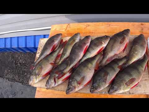 Видео: Готовим окуня на углях!!!Вкусный рецепт!!!