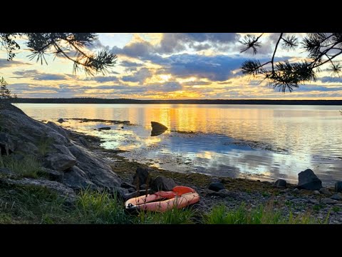 Видео: 21 день в северной Карелии. Часть 4: Белое море и морской заяц
