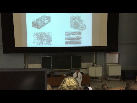 Видео: Гистология. Скелетные Соединительные Ткани (Ч2)