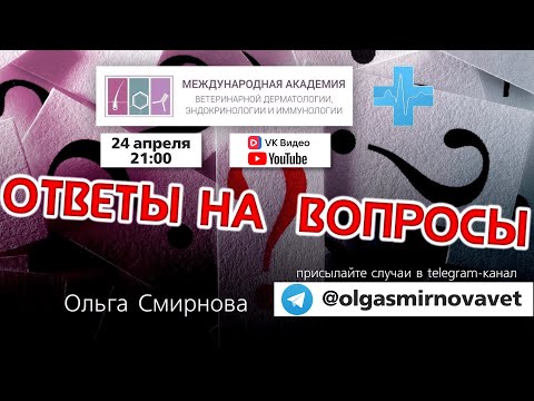 Видео: Ответы на вопросы. Выпуск от 24.04.2025