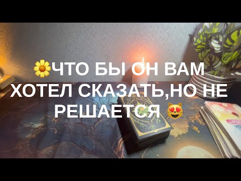 Видео: 29 октября 2025 г.