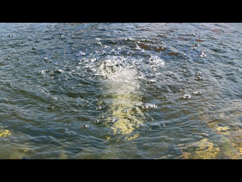 Видео: Аэратор от солнечных панелей.