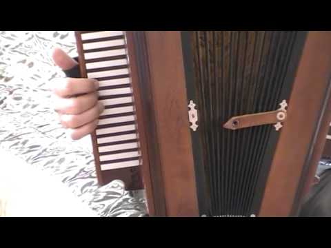 Видео: Елецкая рояльная гармонь. Юрий Прохоров 2014