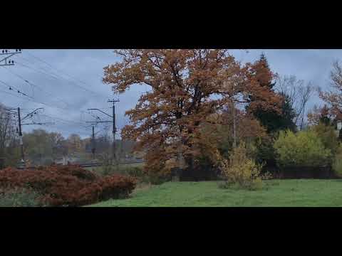 Видео: Мы в Латвии. Красота. Осенние каникулы.🍁 Мини влог. #vlog #latvia #travel #holidays #home