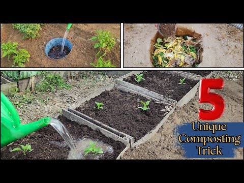 Видео: «Я закопал кухонные отходы… То, что произошло дальше, вас удивит!» 5 уникальных трюков компостиро...
