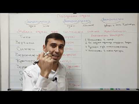 Видео: ПАЙДОИШИ ОДАМ. ЭВОЛЮСИЯИ ПРИМАТХО. АНТРОПОГЕНЕЗ. АНТРОПОЛОГИЯ.