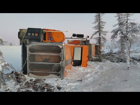 Видео: Хотабыч Исполнил Первое Желание Тонара!)