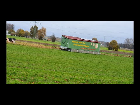 Видео: Немецкий корм для кур несушек. Содержание кур несушек в Германии.