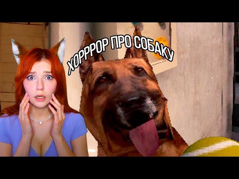 Видео: Собака 🐎 Валера Гостер ( Valera Ghosther ) Реакция