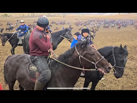 Видео: Арген балбан тайга таштады