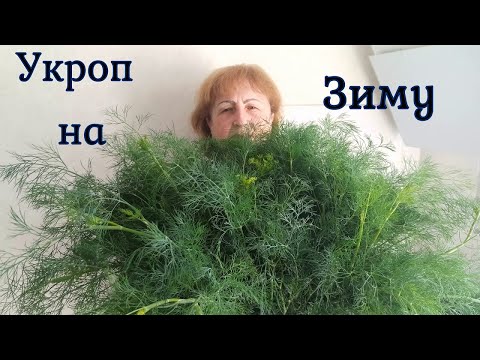 Видео: Как заготовить укроп на зиму!!!