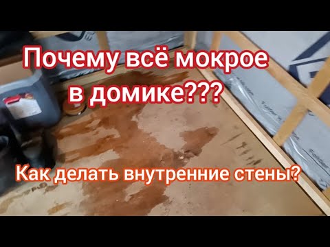 Видео: Как делать межкомнатные стены? Почему пол мокрый?