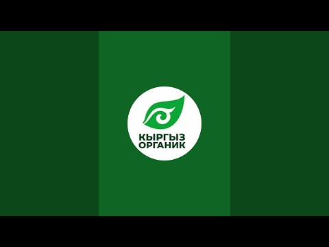 Видео: "ПРЕДОСТАВЛЕНИЕ УСЛУГ ПО УСИЛЕНИЮ ЦДС ПРИКЛЮЧЕНЧЕСКОГО ТУРИЗМА" 