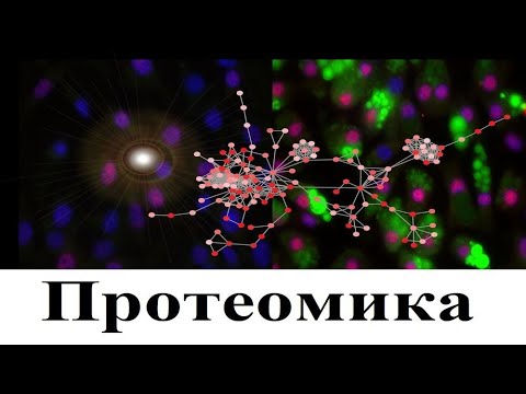 Видео: Протеомика