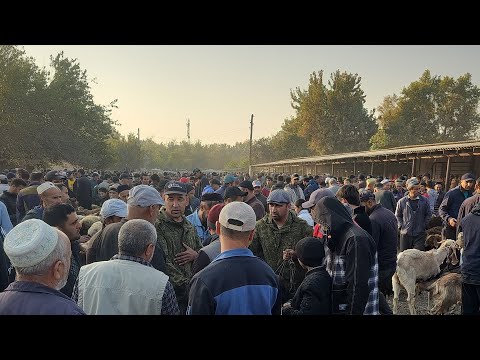 Видео: МОЛБОЗОРИ МАСТЧОХ  2юм учаска